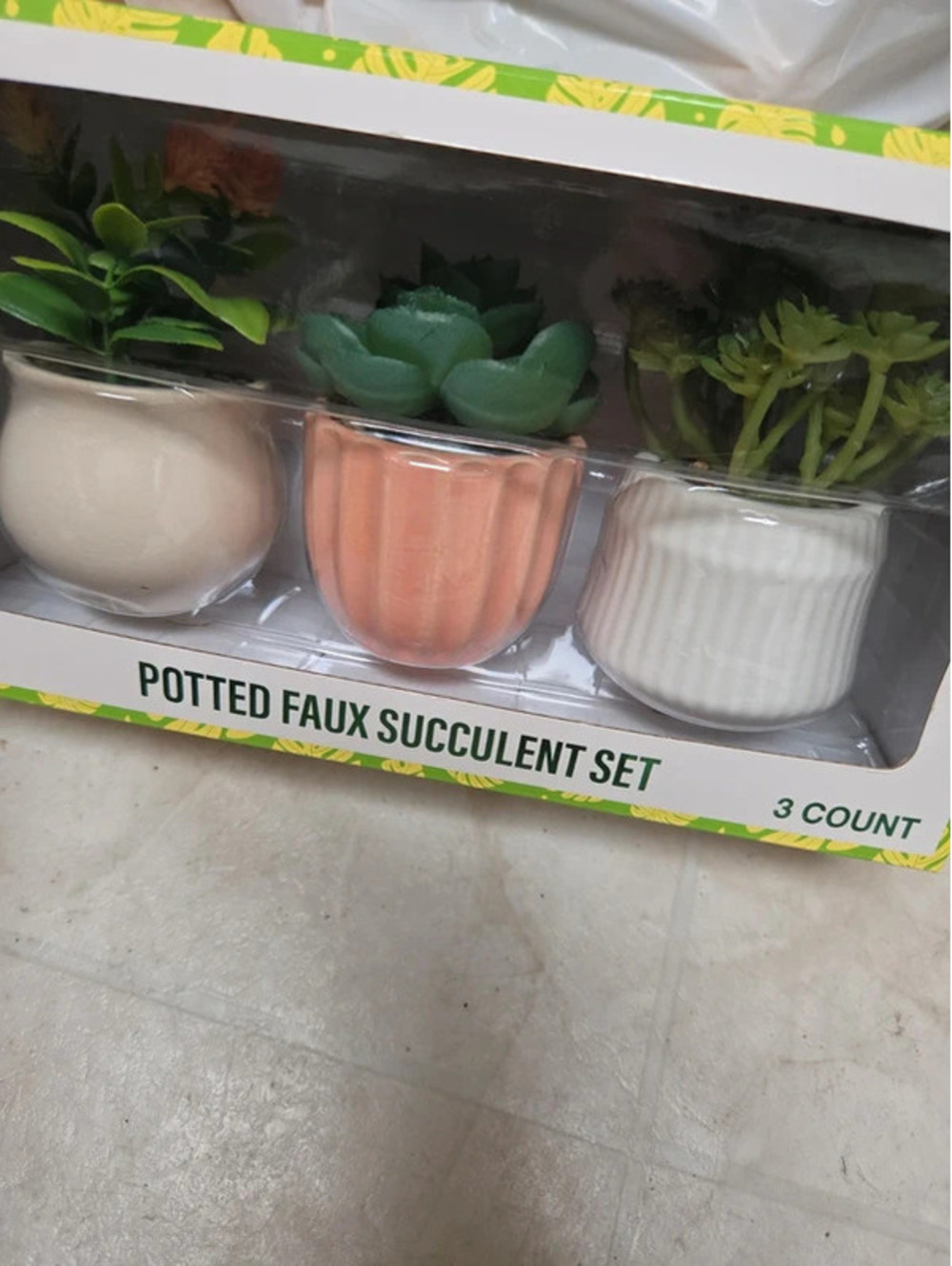 Patted faux succulent set